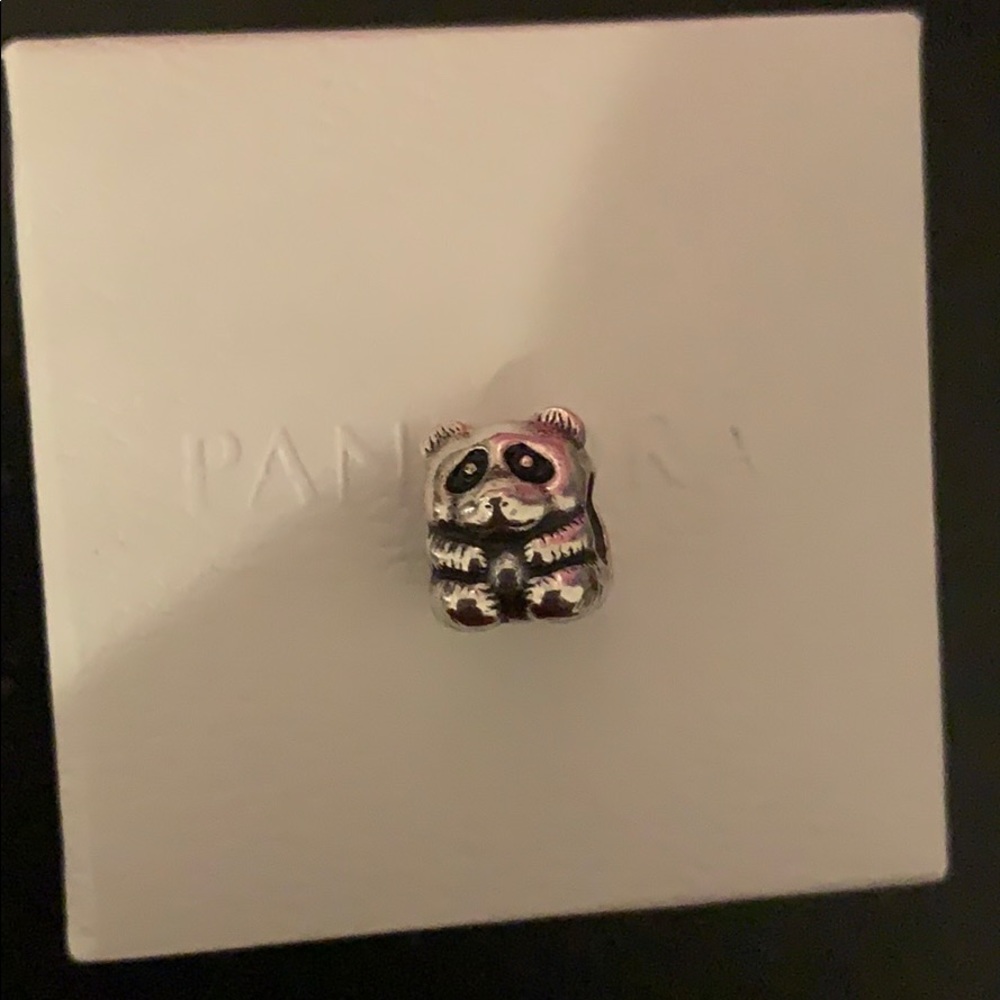 Pandora charm